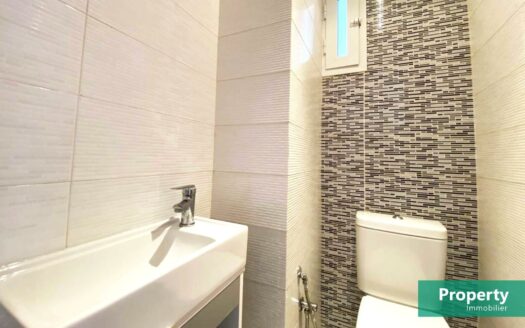 Location d’un S+2, Les jardins de Carthage