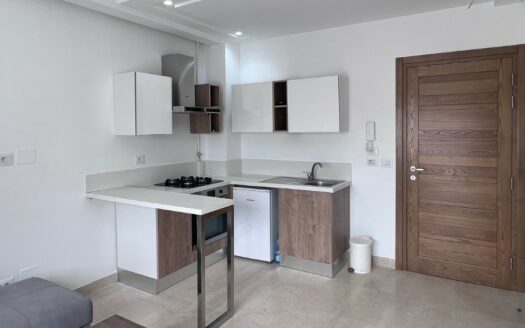 Appartement à Louer S+1 meublé, Les Jardins De Carthage